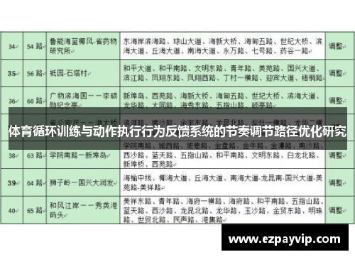 体育循环训练与动作执行行为反馈系统的节奏调节路径优化研究